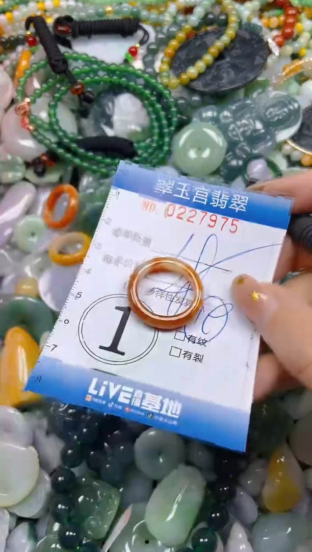 颈饰未镶嵌翡翠闪购C0227975