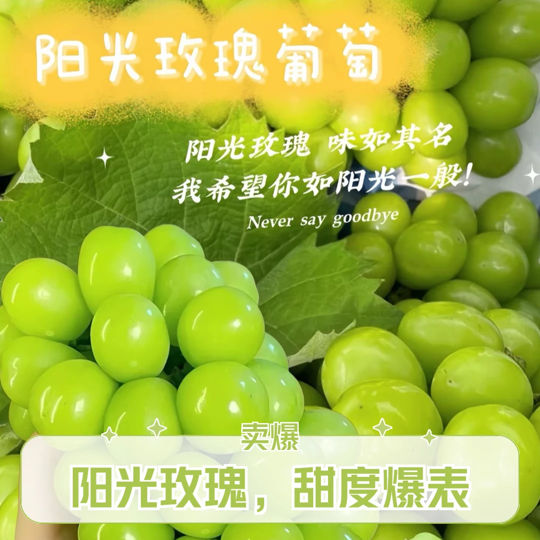 【阳光玫瑰】正宗大圩葡萄新鲜采摘头茬商超精品葡萄同城送安徽省