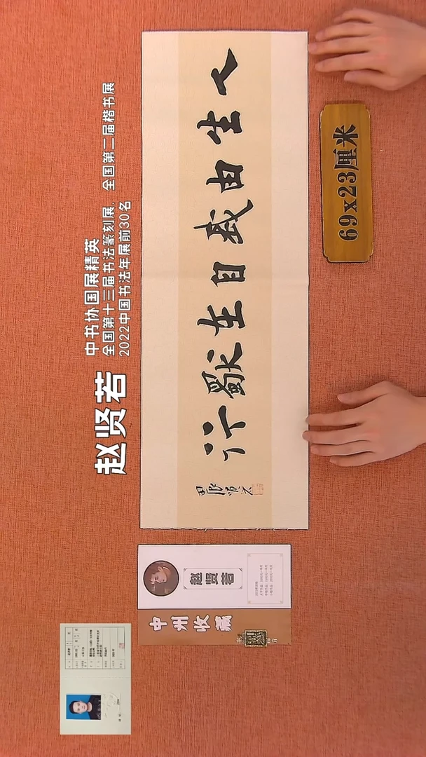 【闪购商品】书法207        赵贤若书法作品