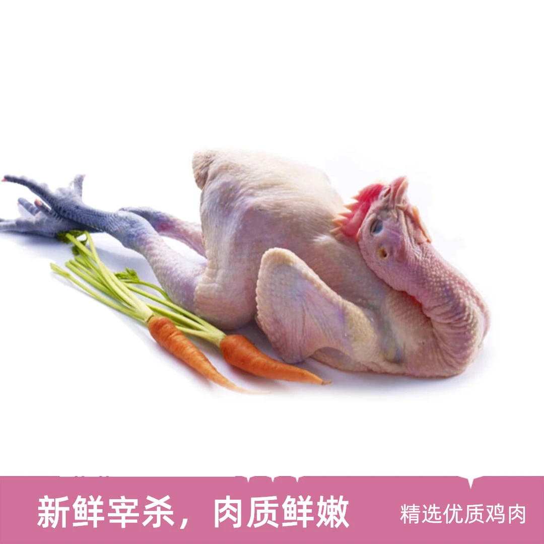 【冯长广小时达】新鲜黑脚鸡3.8-5斤