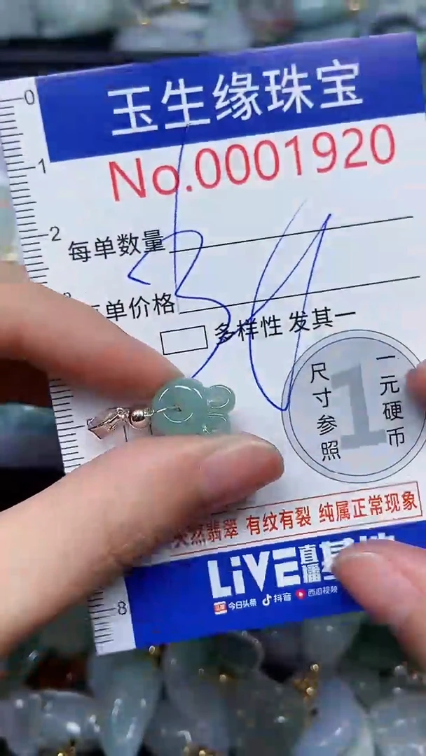 【闪购商品】翡翠颈饰未镶嵌闪购00001920