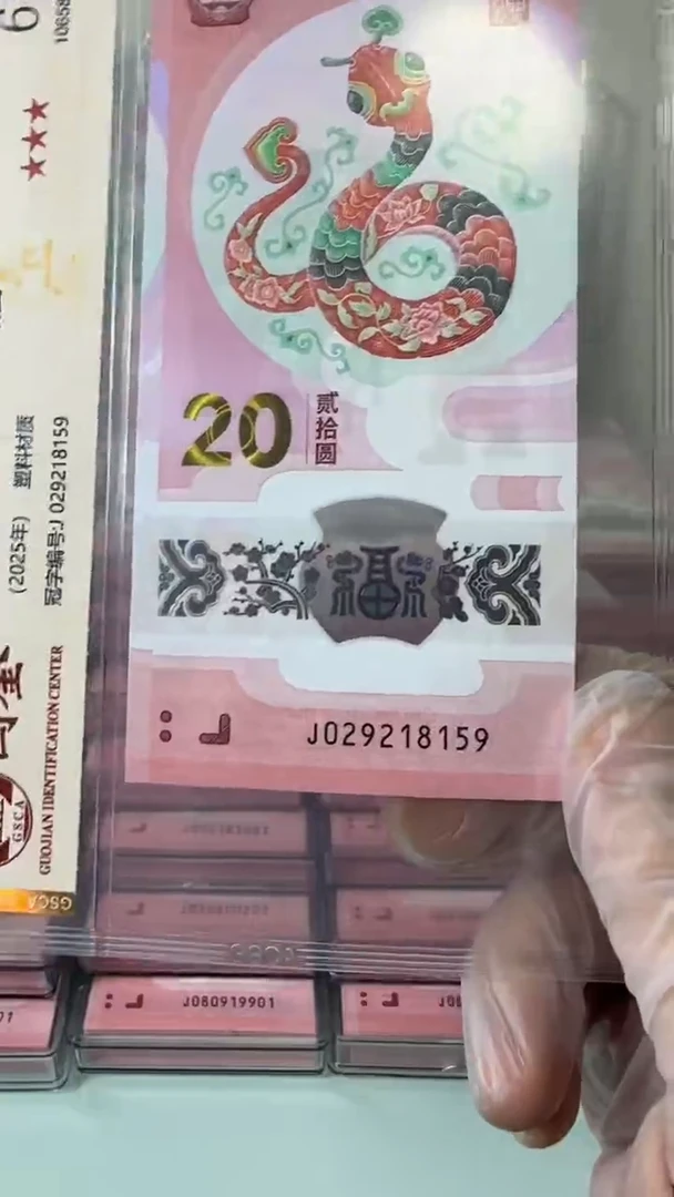 【闪购商品】塑料029218159-蛇钞单张！