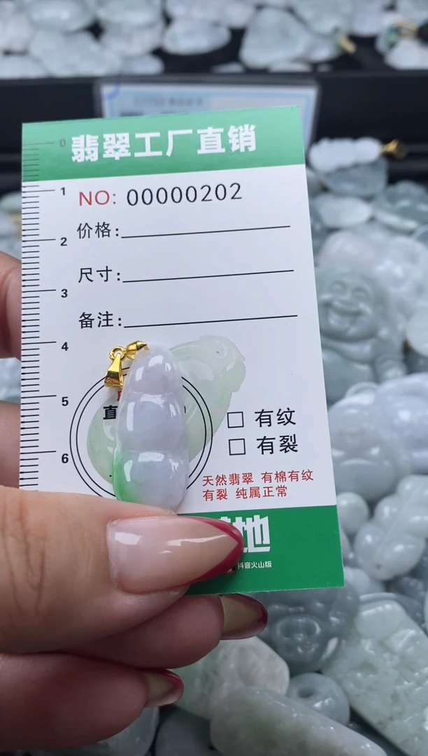 翡翠未镶嵌颈饰天然A货翡翠0202