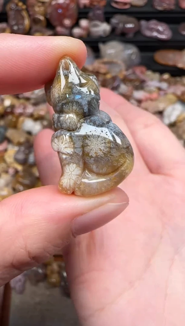 颈饰未镶嵌硅化珊瑚（珊瑚玉）827