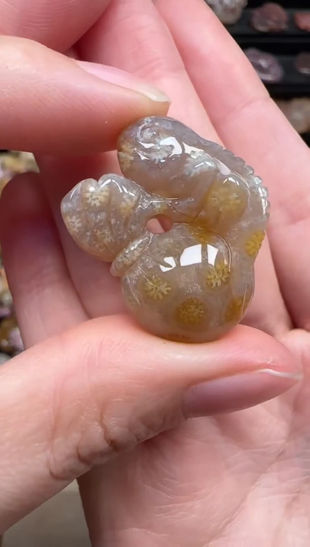 颈饰未镶嵌硅化珊瑚（珊瑚玉）678