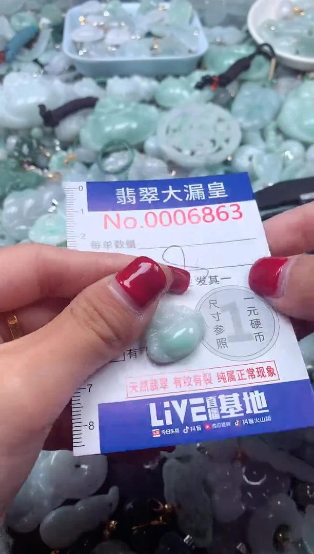 颈饰未镶嵌翡翠6863
