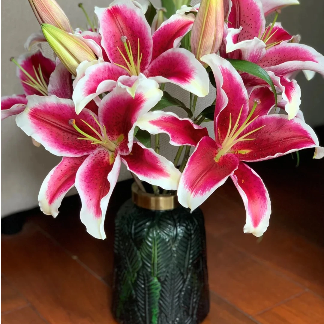 国王百合 三单京东（偏远ZT空运） 花苞需醒花摘叶揽收无法退款