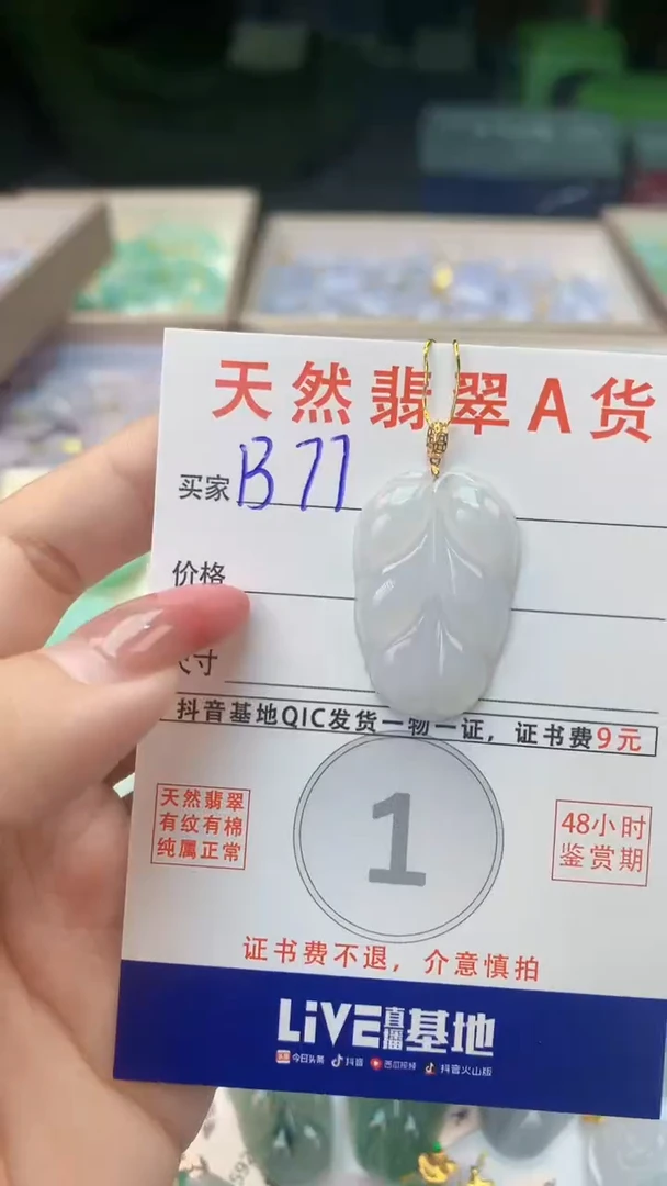 颈饰未镶嵌翡翠天然A货翡翠挂件