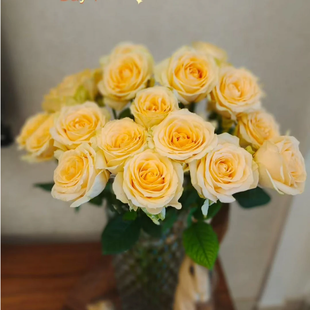 【香槟玫瑰】    两单升级冷链，三单升级空运