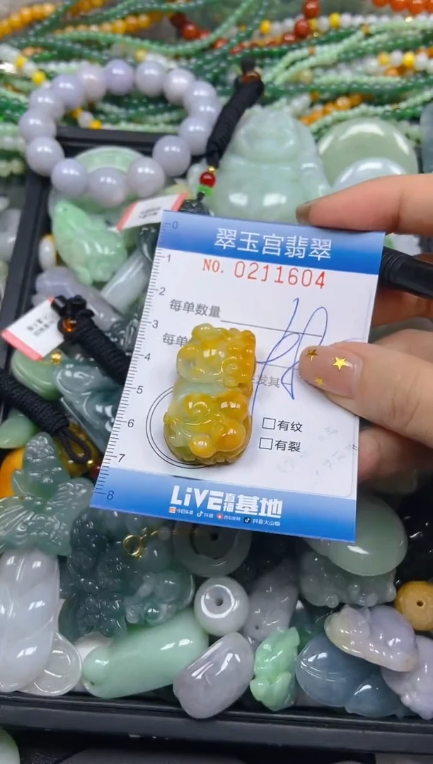 颈饰未镶嵌翡翠闪购C0211604