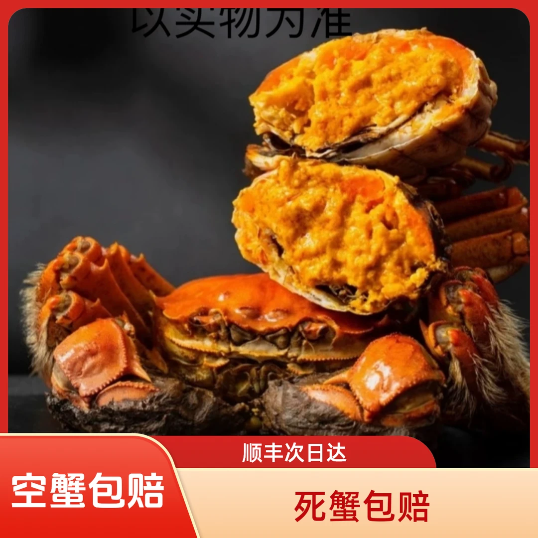 【活蟹】【公蟹+母蟹】共16只 盘锦河蟹 2.1-1.8两/只公蟹 8只+1.8-1.5两/只母蟹 8只  【顺丰明天到】死蟹按只赔