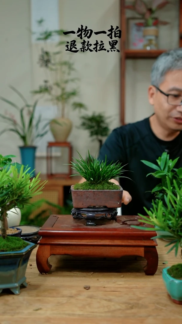 完全开放载*菖蒲641