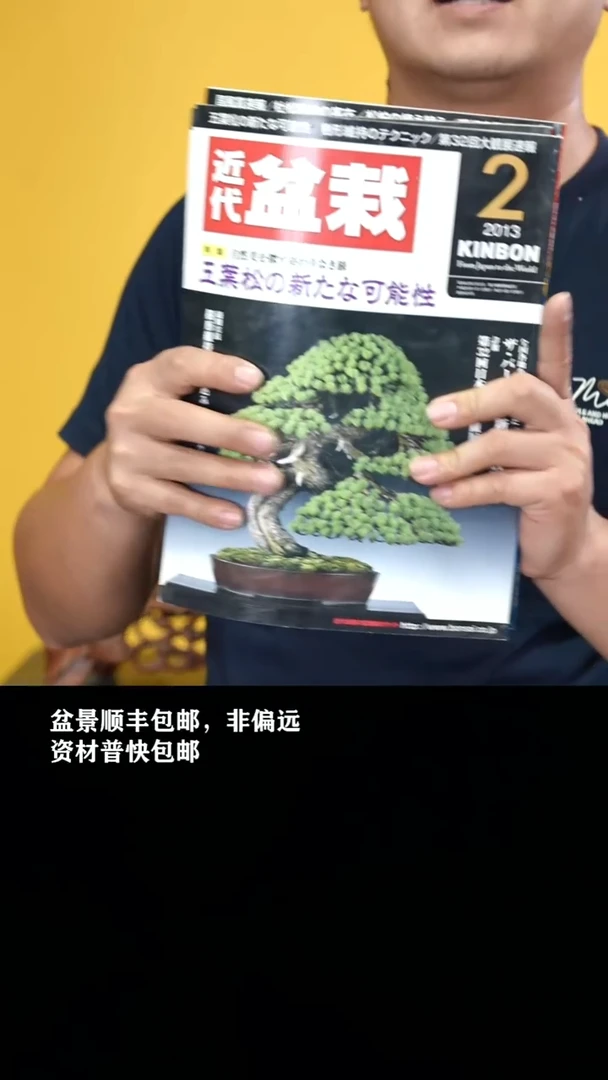 无花朵近代盆栽2013-2