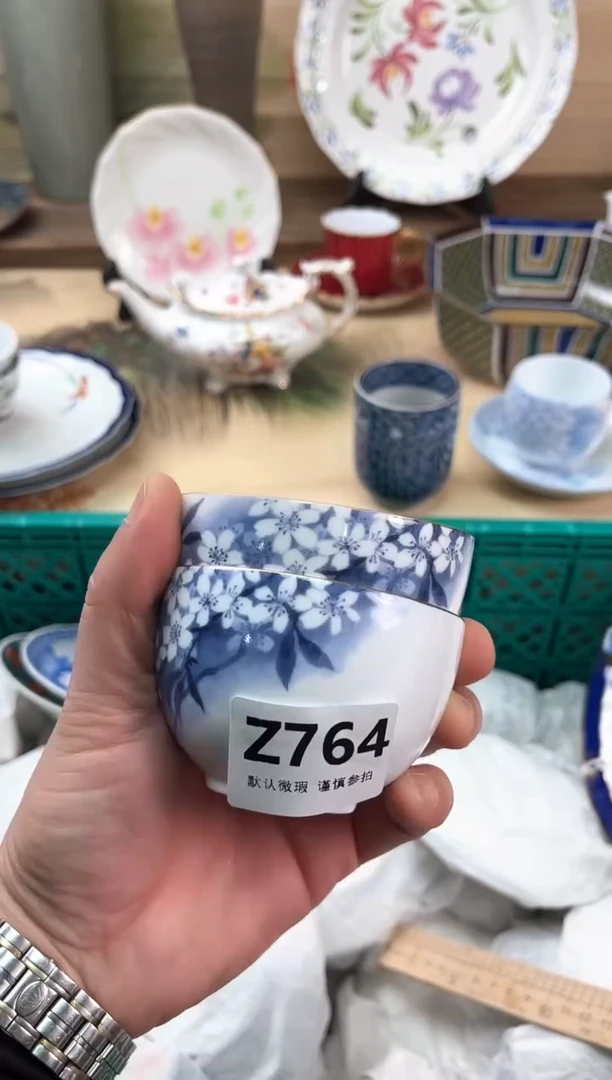 瓷片子*?764