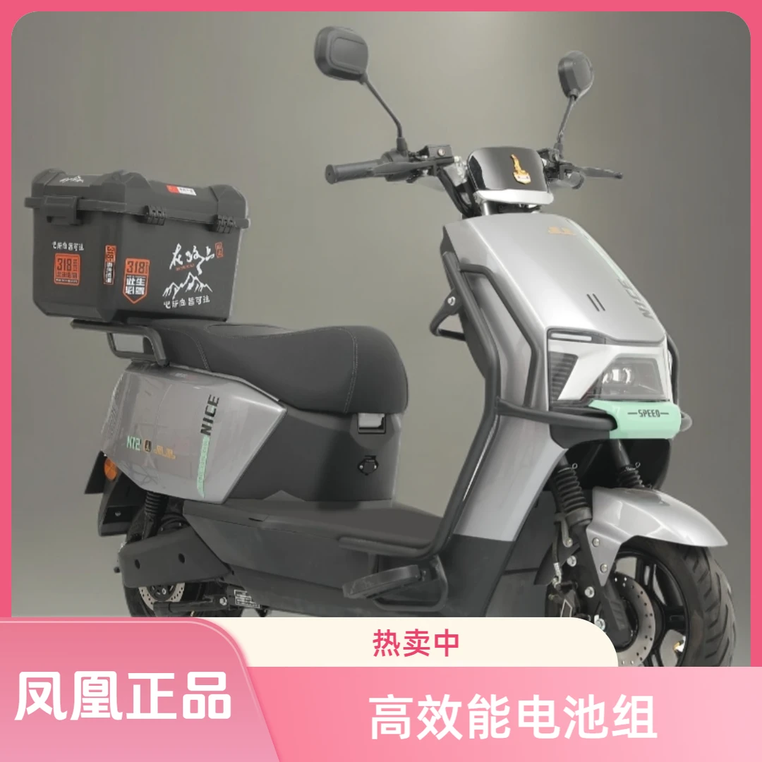 Phoenix/凤凰长续航高速智能电动摩托车家用外卖代步通勤车