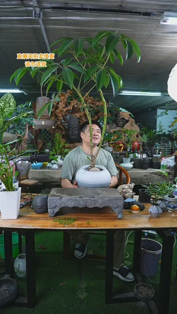 完全开放老桩保罗瓷器瓶