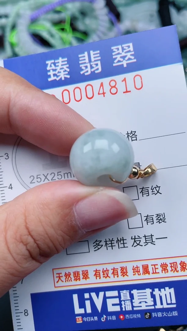 翡翠未镶嵌颈饰.0004810