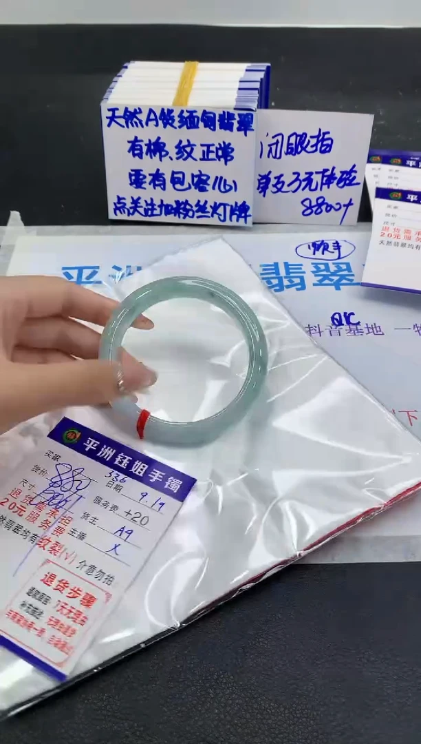 未镶嵌手镯翡翠1