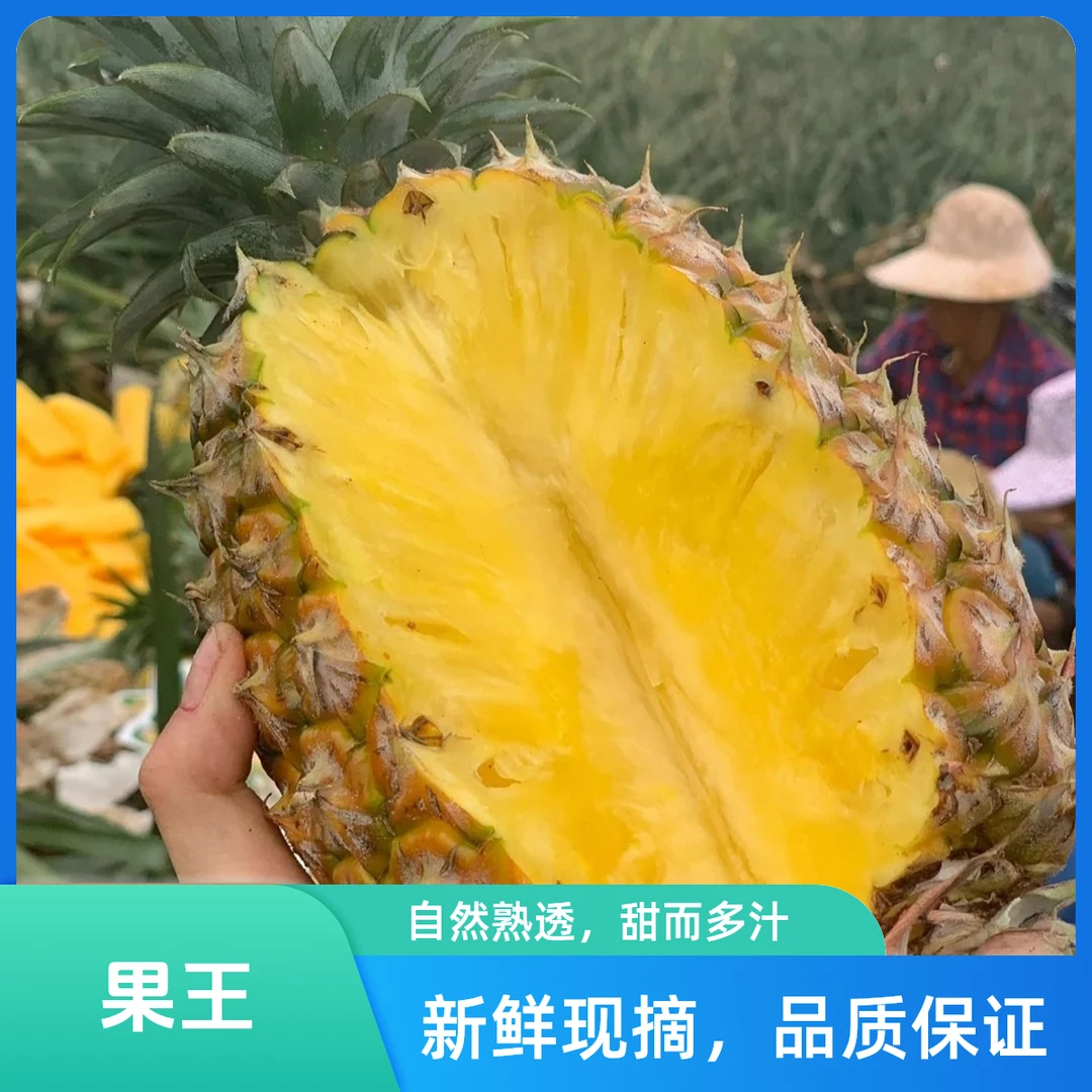 海南蜂糖凤梨新鲜水果多汁香甜美味应季水果-果王