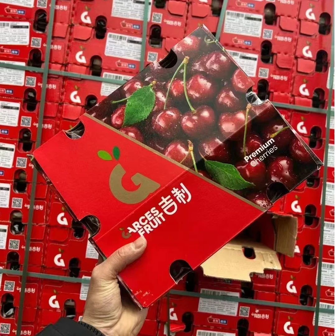 智利海运车厘子三藩市吉制大牌桑提娜JDD 原箱净重5斤顺丰包邮