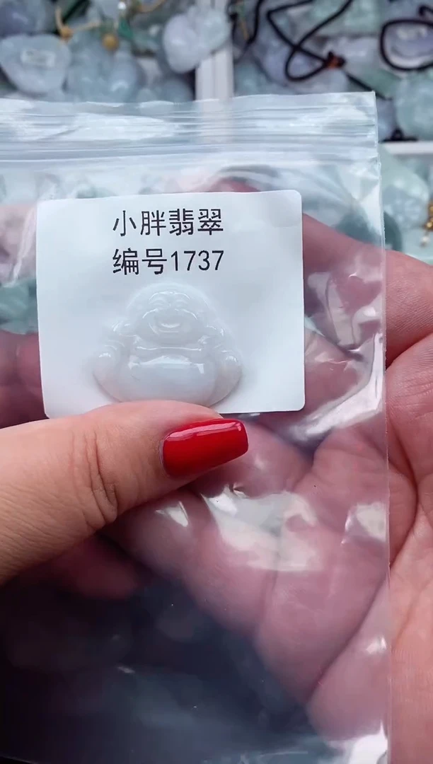 颈饰未镶嵌翡翠缅甸天然A货翡翠1737