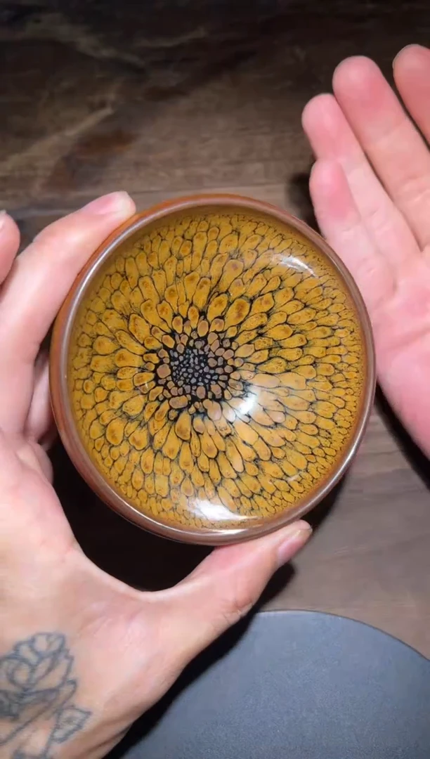 茶盏大鹏亲传弟子何定欣9