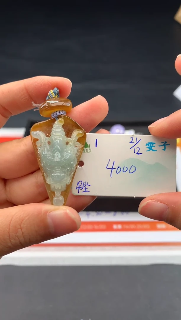 颈饰未镶嵌翡翠翡翠自带#送人#，假一赔三