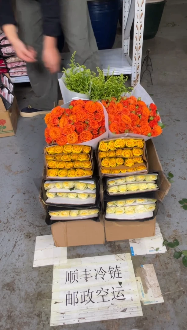 奶油杯20枝+契机20枝+橙色芭比10枝+黄莺