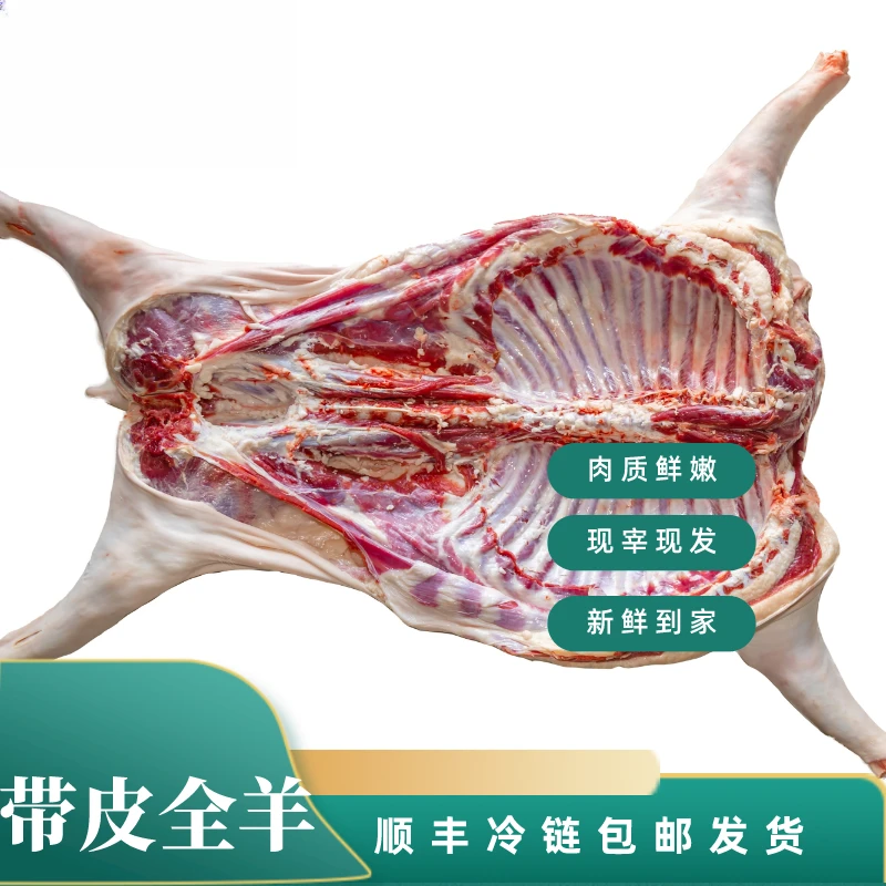 【爆款】半羊10斤全羊20斤散养山羊新鲜草饲带皮90%腿排整扇