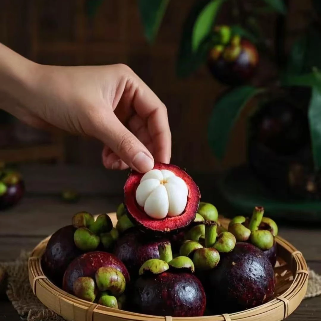 泰国新鲜进口山竹老树麻竹果肉雪白