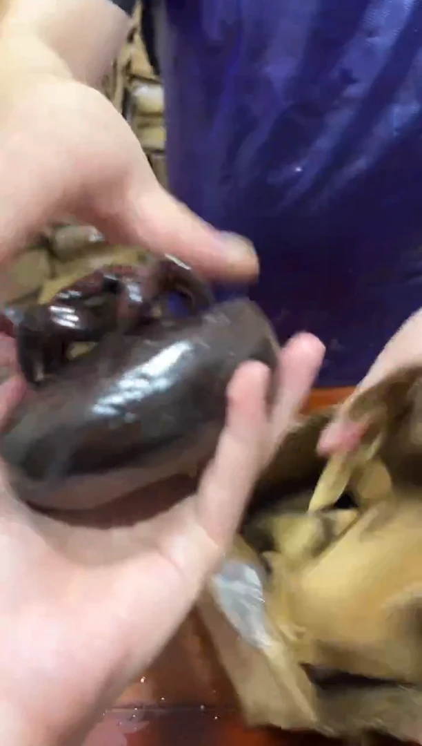 瓷片其他其他其他其他