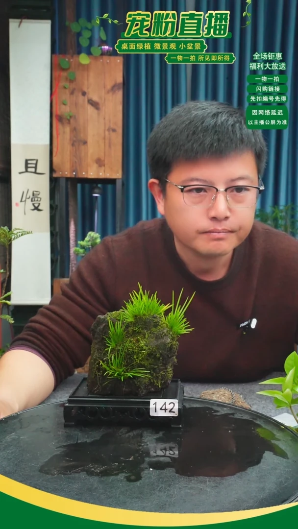 无花朵?***圆苔藓微景观142号
