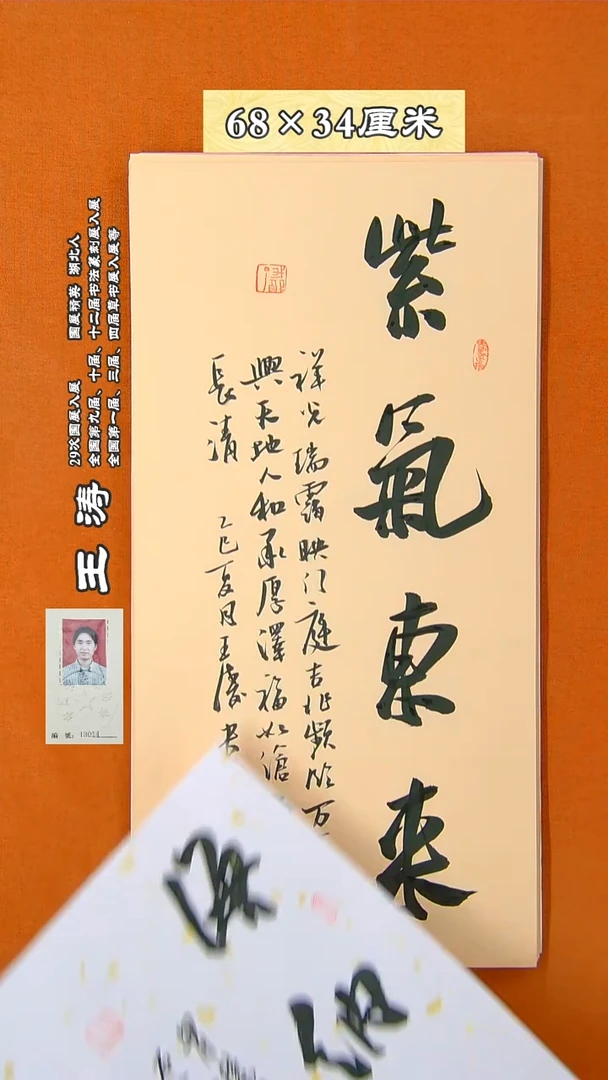 书法135R王涛书法 作品