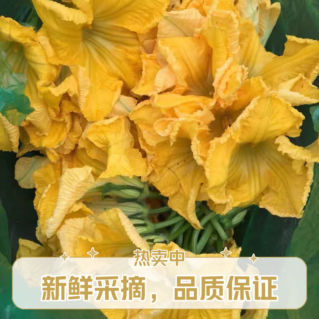 新鲜南瓜花南瓜同城送南瓜浙江省