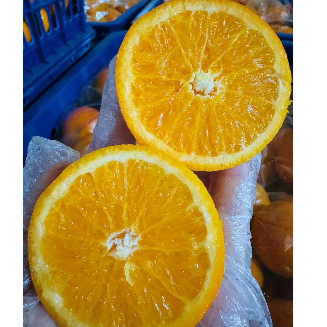 【广西爆汁沃柑轻微花皮5斤19.9】长春顺丰包邮到家柑橘吉林省长春市