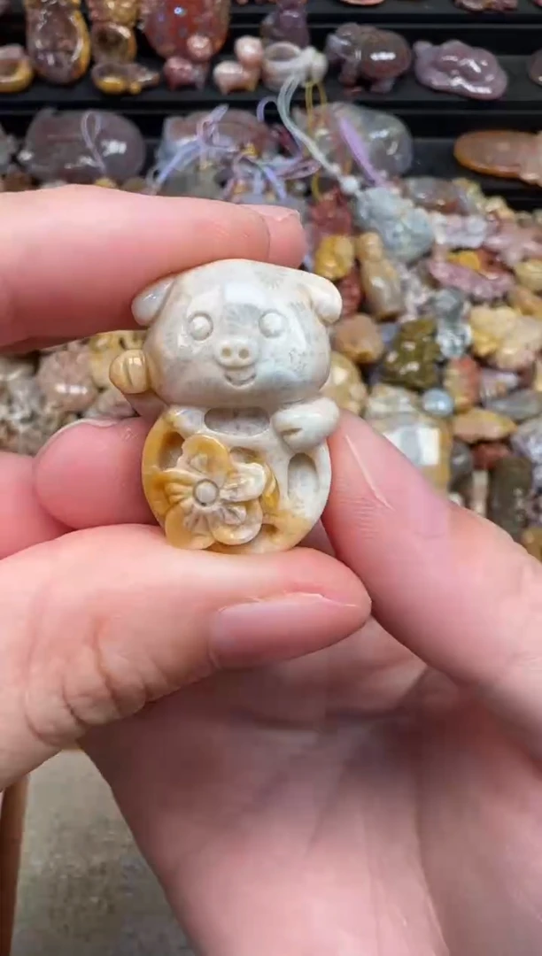 颈饰未镶嵌硅化珊瑚（珊瑚玉）059