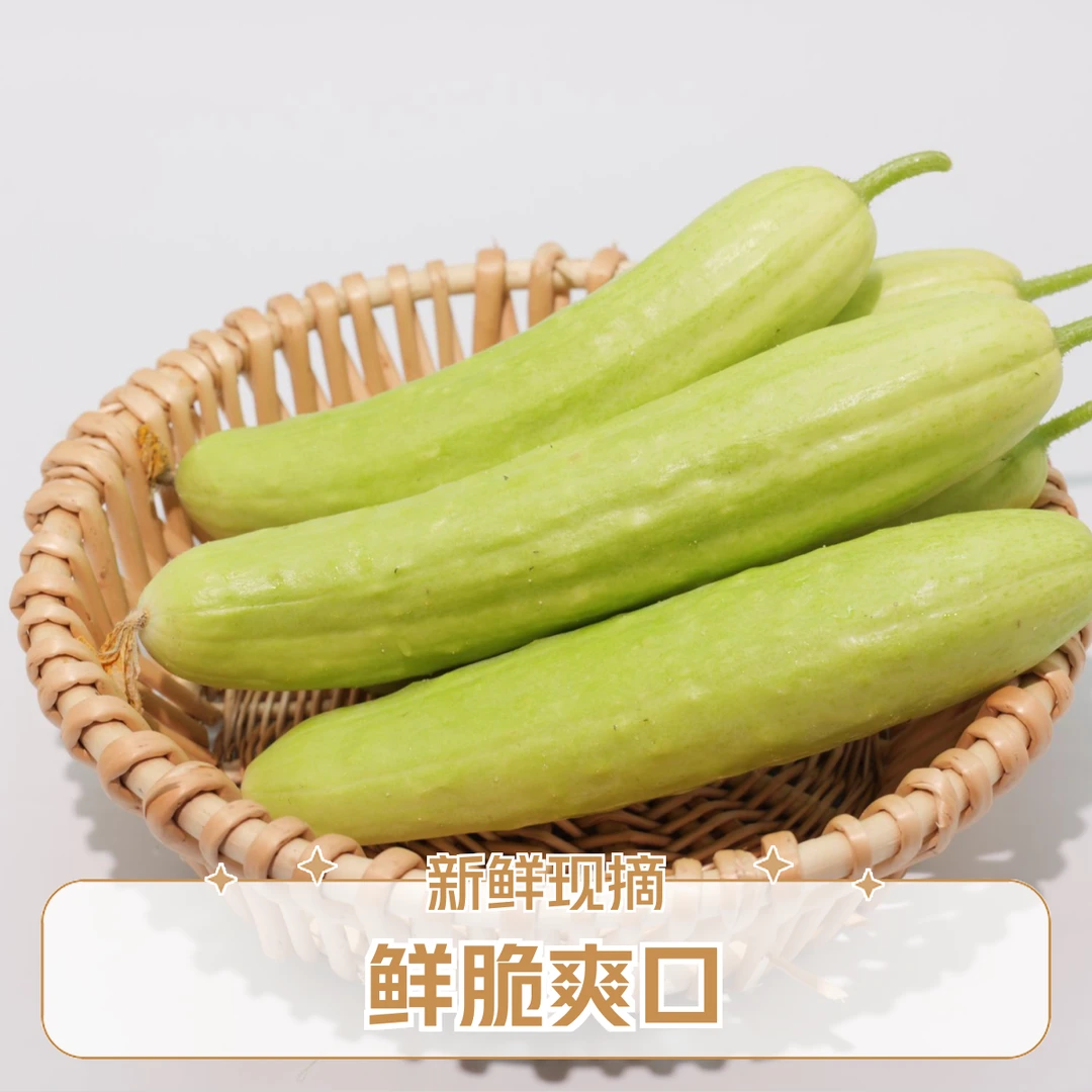 【鲜脆小青瓜】3斤宁波奉化水果黄瓜生吃脆鲜当季小黄瓜小青瓜江浙沪顺丰包邮次日送达新鲜一休靓瓜