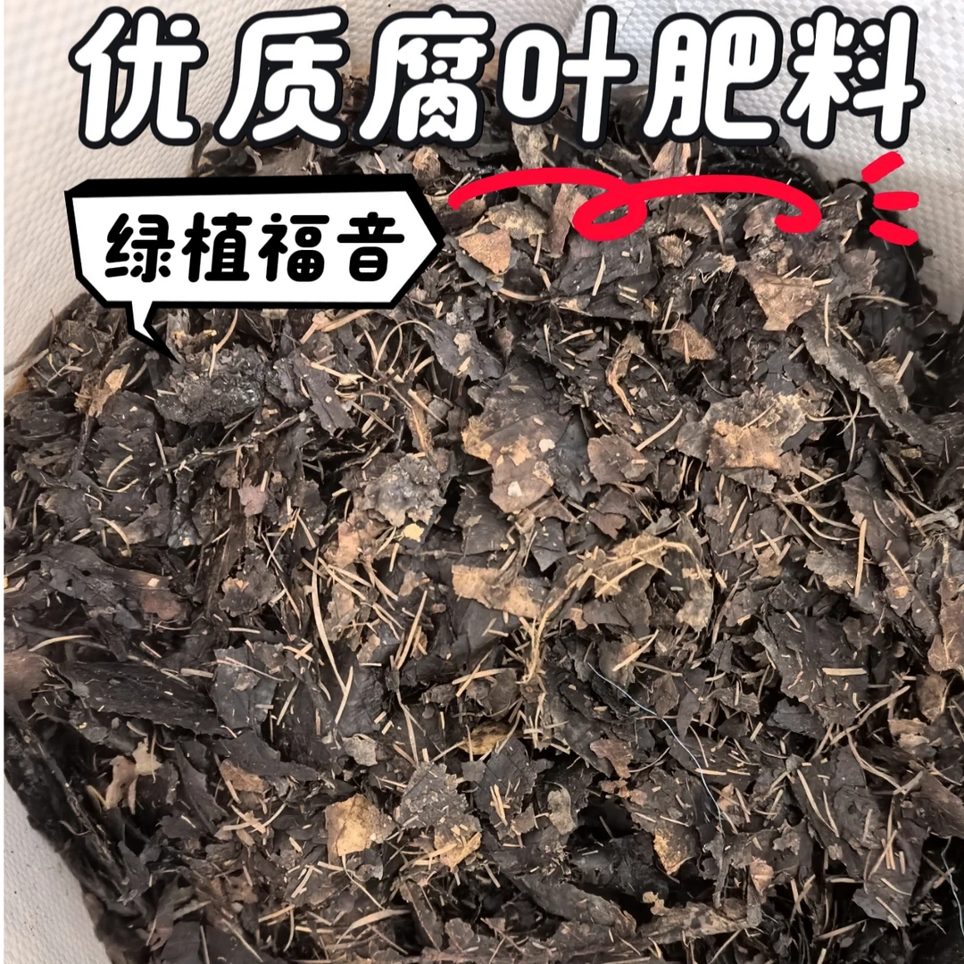 橡树叶腐叶土君子兰土调配均匀潮湿发货