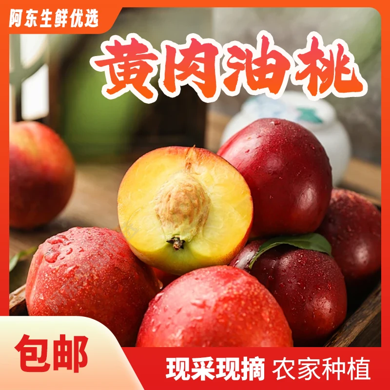 2025头茬农家自种黄肉蜜脆油桃新鲜采摘应季水果