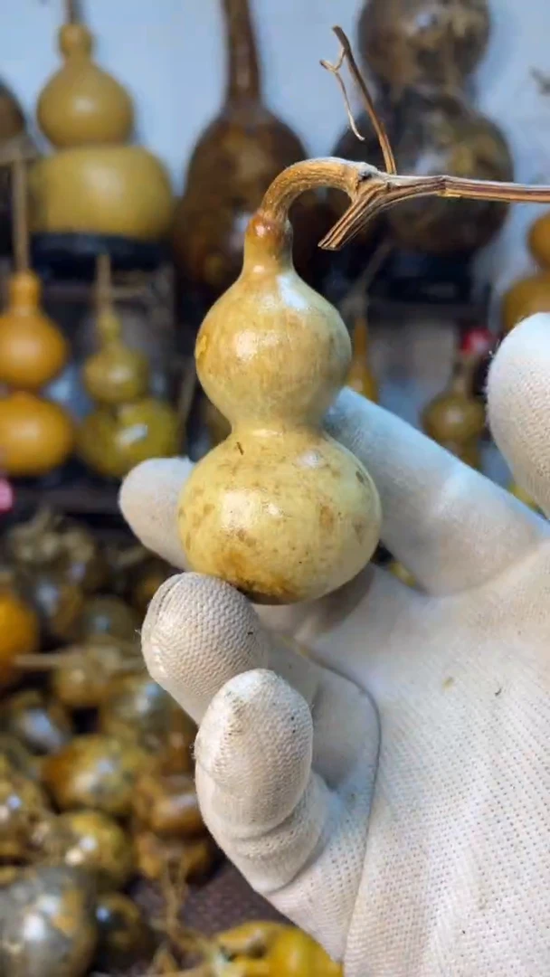 【闪购商品】葫芦葫芦葫芦葫芦