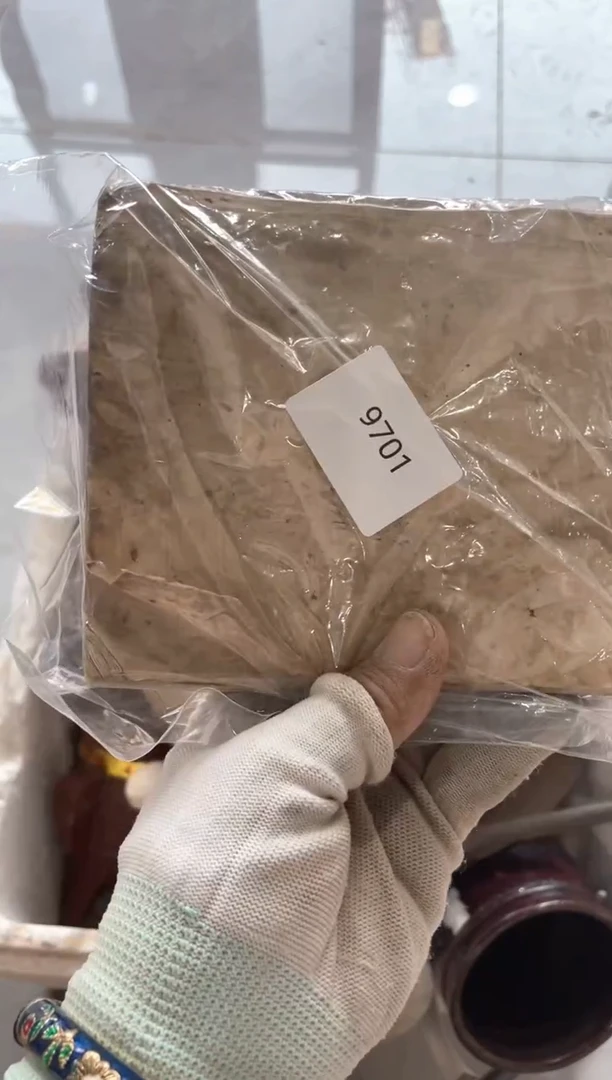 器里****）55667788202506139701