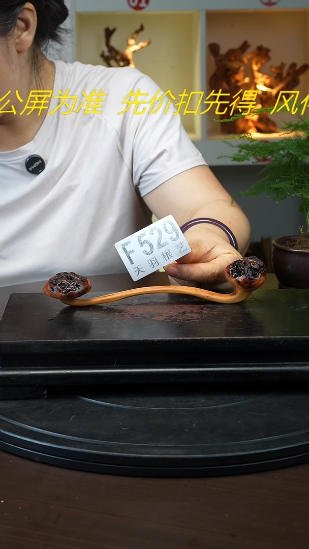 木云南黑果木如意