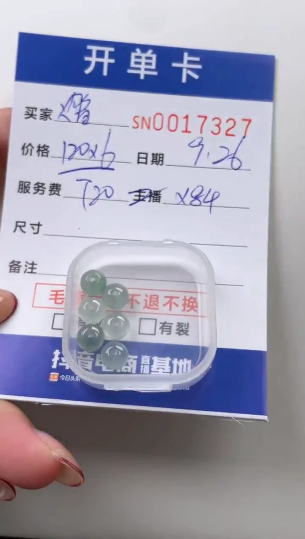 颈饰未镶嵌翡翠?*宝00017327