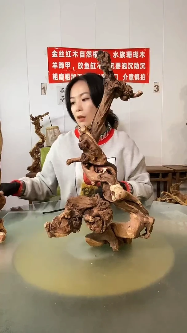 木新****馆金丝红木 羊蹄甲