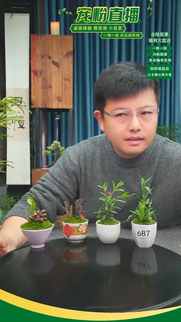 无花朵一**餐苔藓微景观687号