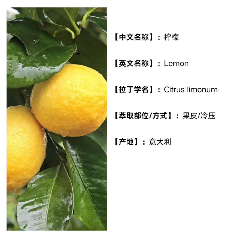 绯红臻选  柠檬精油100ml