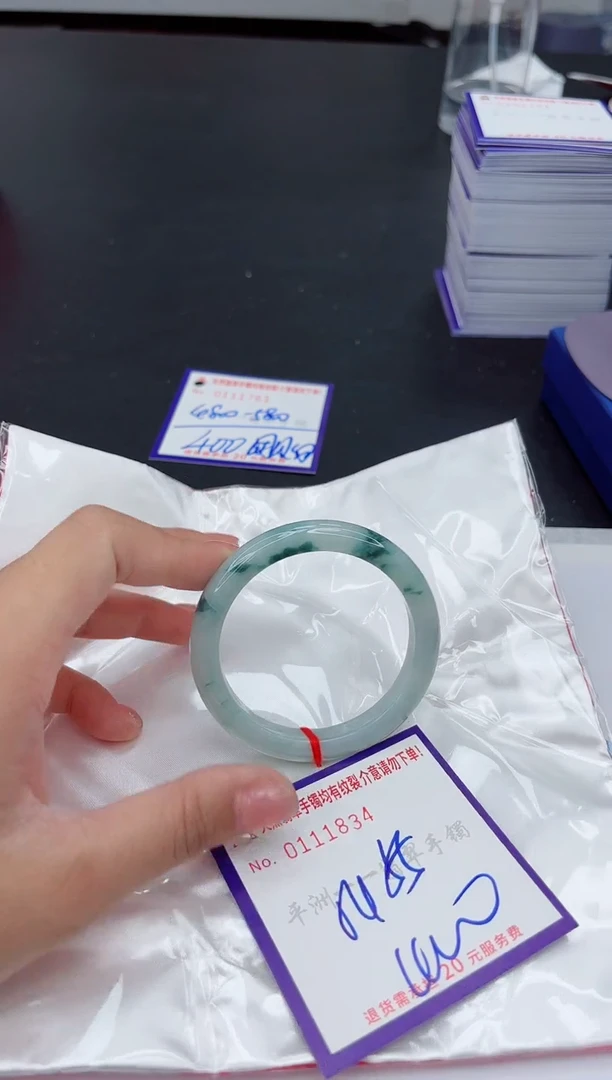 未镶嵌手镯翡翠1