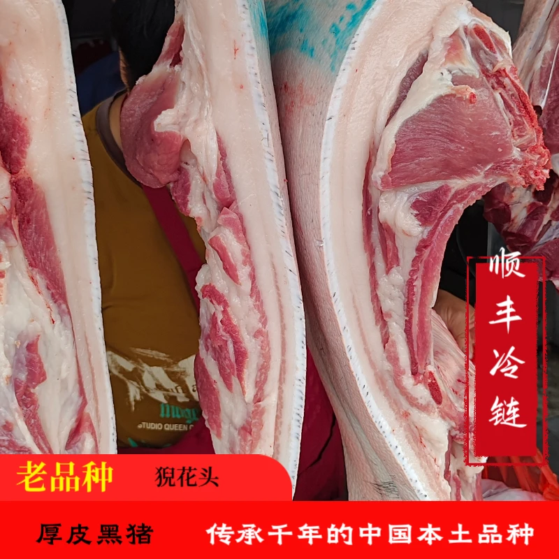 【带骨肋条】大别山区老品种猊花头厚皮黑猪隔年大猪铁骨猪默认烧皮