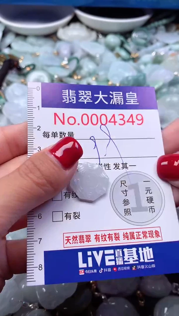 颈饰未镶嵌翡翠4349