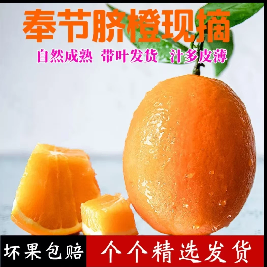 京东包邮奉节脐橙橙子现摘现发应季水果鲜橙皮薄鲜甜甜橙新鲜柑橘